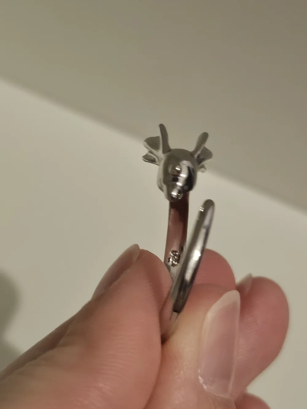 Pokemon polished silver